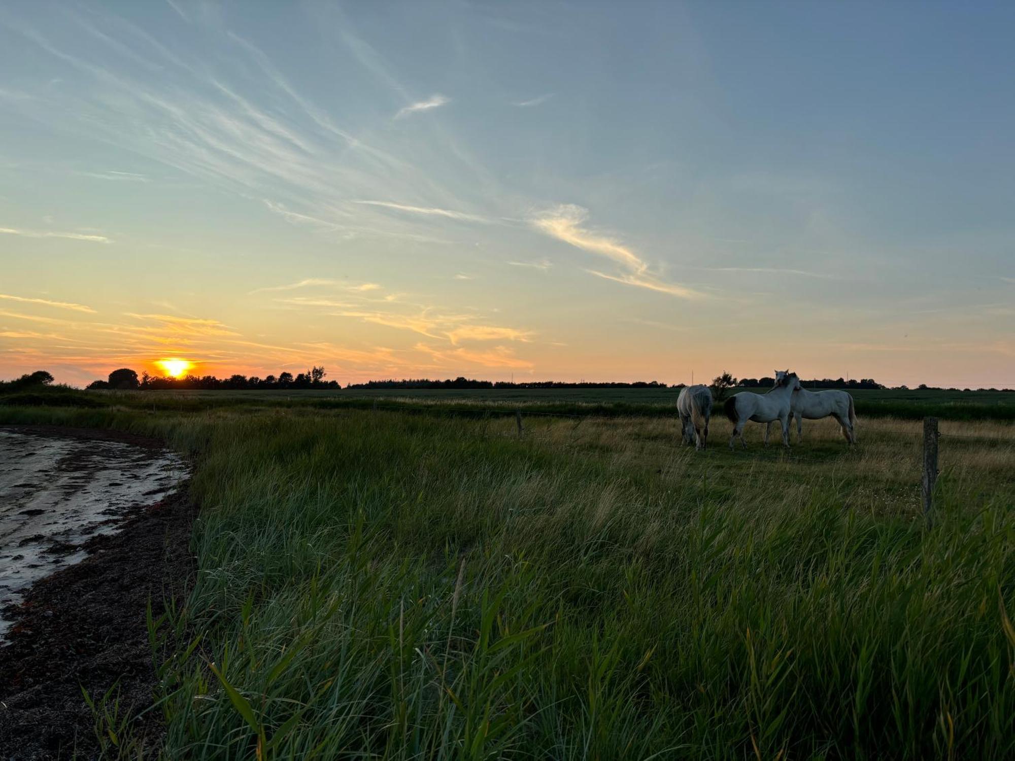 Nedlagt Gard I Naturen Med Ro Og Fred Og Samtidig Taet Pa Strand Og Fiskeri Og Indkobsmuligheder Nordborg Exterior photo